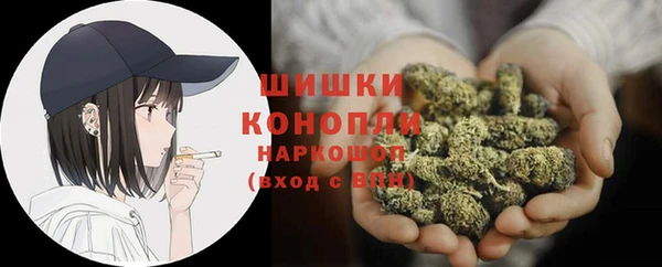 бошки Бородино