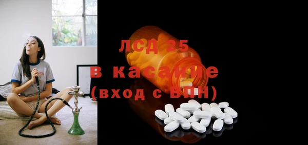 бошки Бородино