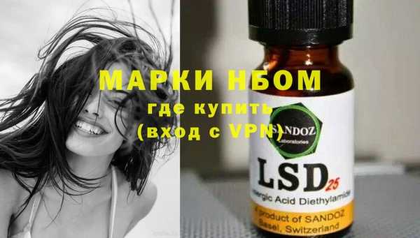 бошки Бородино
